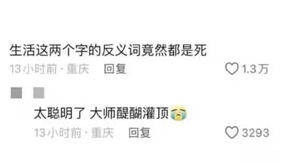社交媒体评论区截图，展示两条来自重庆用户的评论。第一条评论提出“生活这两个字的反义词竟然都是死”，巧妙拆解“生”与“活”的反义词均为“死”，形成文字梗；第二条评论以“太聪明了 大师醍醐灌顶😭”回应，表达赞叹与共鸣。两条评论均发布于13小时前，分别获得1.3万和3293个点赞，评论区互动氛围热烈。