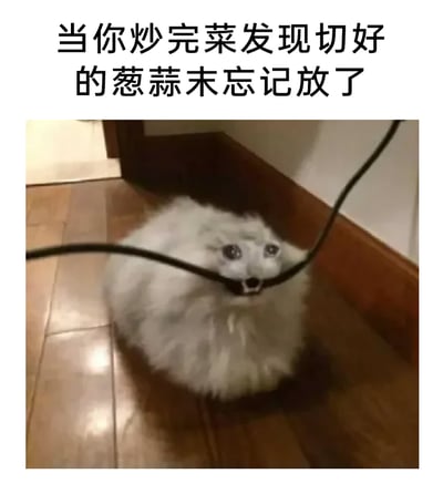 这是一张图文混排的搞笑表情包，上方配有文字“当你炒完菜发现切好的葱蒜末忘记放了”，下方是一只圆滚滚的白色猫咪，它蜷缩在室内地板的角落，嘴部被一根黑色绳子勒住，眼睛睁大，神态震惊又崩溃，完美契合了人们在做饭时忘记放入重要配料后的懊恼、崩溃的心情，用动物的搞笑神态来共情日常的小失误，生动有趣，容易引发有过类似经历的人的共鸣。