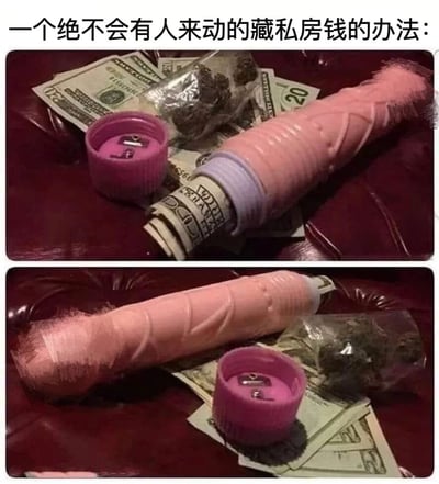 这是一张双图拼接的搞笑创意梗图，展示了一种另类的藏私房钱方法。上图和下图都展示了一卷美元钞票被塞进一个粉色的性玩具中，周围散落着更多的美元钞票和一袋疑似大麻的物品。图片上方配有文字"一个绝不会有人来动的藏私房钱的办法："，通过将钱藏在私密物品中来达到不被发现的幽默效果。