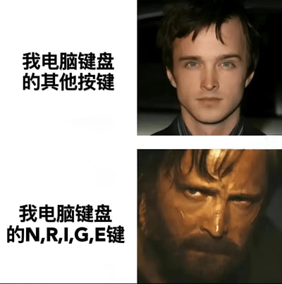 这是一张两格对比梗图，通过人物表情的强烈反差来幽默表现电脑键盘不同按键的使用频率差异。上半部分左侧文字为“我电脑键盘的其他按键”，右侧是一位表情平静的男性面部特写；下半部分左侧文字为“我电脑键盘的N,R,I,G,E键”，右侧则是一位表情严肃、皮肤呈金色质感的男性面部特写，夸张地表现了这些特定按键因频繁使用而显得“与众不同”。