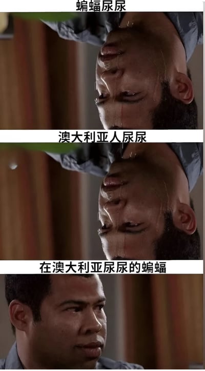 该图为三格拼接的幽默梗图，通过对比不同主体“尿尿”的场景制造笑点。第一格标注“蝙蝠尿尿”，画面中人物倒挂，面部有液体滴落，表情痛苦；第二格标注“澳大利亚人尿尿”，内容与第一格完全相同，同样是倒挂人物与液体滴落；第三格标注“在澳大利亚尿尿的蝙蝠”，画面中人物改为正立姿势，表情恢复正常。通过重复与反转的构图，调侃澳大利亚独特环境可能带来的反差感。