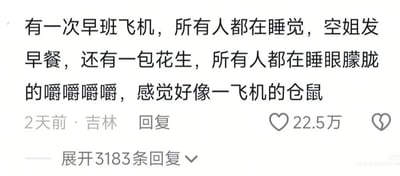 这是一张社交媒体评论区的截图，整体为白底黑字的纯文字内容，内容是一位用户分享自己乘坐早班飞机的有趣经历：乘坐早班飞机时所有乘客都还没睡醒，空姐发放早餐时附赠了一包花生，所有乘客都睡眼朦胧地集体咀嚼花生，发布者联想到这个场景就像一整飞机的仓鼠。截图下方标注了该评论的发布信息：该评论2天前于吉林发布，一共获得了22.5万赞，下方共有3183条回复可以点击展开查看。