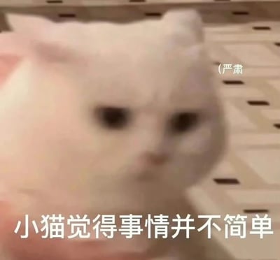 一只表情严肃的白猫特写，眼神专注，似乎在认真思考。图片下方配有文字'小猫觉得事情并不简单'，右上角有'(严肃'的标注，形成一种拟人化的幽默效果。