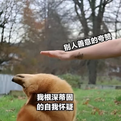 图片展示了一只金毛犬抬头望向一只伸出的手的场景。背景是户外的草地和树木，营造出自然的氛围。图片通过文字对比幽默地表达了内心矛盾：上方手旁的文字写着'别人善意的夸赞'，而下方狗旁边的文字则写着'我根深蒂固的自我怀疑'。这种对比生动地展现了当面对他人赞美时，内心却充满自我怀疑的普遍心理状态。