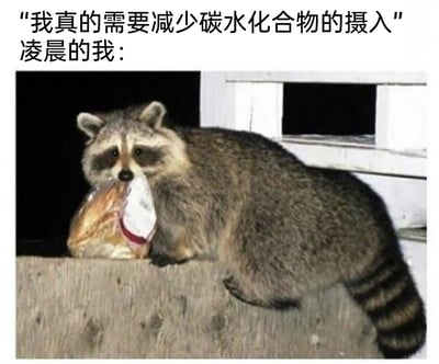 这是一张精准戳中减肥人群日常的自嘲梗图，采用图文结合的形式呈现。上方文字分为两部分，第一句“我真的需要减少碳水化合物的摄入”代表人们在清醒时、理智状态下立下的控制饮食、减肥的flag；第二句“凌晨的我：”引出下方的实拍配图——一只浣熊叼着一整条包装完好的面包，趴在木质台面上，神态看起来略带心虚又满是满足，生动形象地还原了很多人明明下定决心戒碳水，却在深夜忍不住偷吃高碳水食物的真实又好笑的状态，用动物的行为映射人类的自控力缺失，引发减肥人群的强烈共鸣。