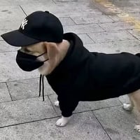嘉豪