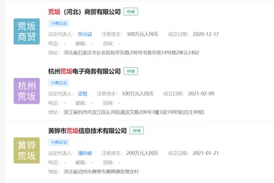 这张图片展示了三家名称中带有“荒坂”字样的存续小微企业的公开工商信息，具体详情如下：
1. 荒坂（河北）商贸有限公司：法定代表人贺冶诚，注册资本300万元人民币，成立于2020年12月17日，注册地址为河北省石家庄市长安区和平东路398号书香华苑14号楼2单元1402；
2. 杭州荒坂电子商务有限公司：法定代表人梁楷，注册资本100万元人民币，成立于2021年2月9日，注册地址为浙江省杭州市滨江区长河街道滨文路200号1幢1层1900室(自主申报)；
3. 黄骅市荒坂信息技术有限公司：法定代表人潘跃峰，注册资本200万元人民币，成立于2021年1月21日，注册地址为河北省沧州市黄骅市黄骅镇张常庄村。
三家企业均标注为小微企业，经营状态为存续。其中“荒坂”是知名游戏《赛博朋克2077》中的巨型企业名称，现实中这些小微企业使用该字号，属于借用知名IP名称的情况，图片无其他双关、谐音梗或暗示内容。