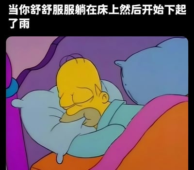 图片展示了动画《辛普森一家》中的角色荷马·辛普森舒适地躺在床上睡觉的场景。他闭着眼睛，嘴角微微上扬，表情显得非常满足和放松。上方配有文字“当你舒舒服服躺在床上然后开始下起了雨”，表达了在舒适环境中遇到惬意天气的愉悦感受。