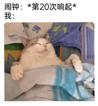暂无描述