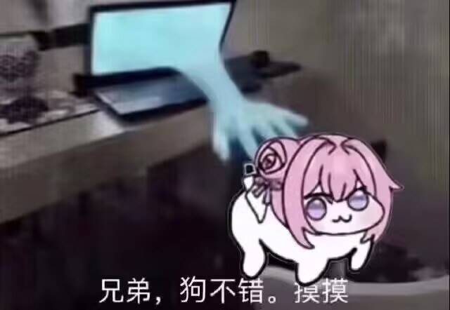 Doro表情包：兄弟，狗不错。摸摸