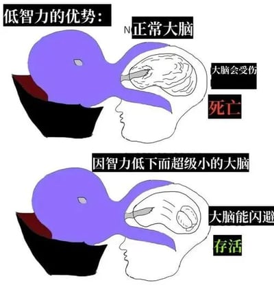 这是一张上下对比的图文混排梗图，通过简笔画形式调侃“低智力的优势”。上图展示“正常大脑”被一个紫色物体撞击，标注“大脑会受伤”和“死亡”；下图则是“因智力低下而超级小的大脑”成功闪避撞击，标注“大脑能闪避”和“存活”。通过夸张的大脑大小差异和生存结果对比，形成讽刺幽默效果。