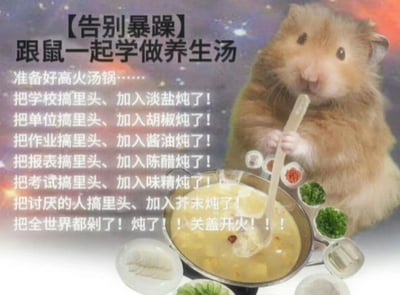 这是一张图文混排的静态搞笑解压图，画面主体是一只拟人化的仓鼠，它双手握着木勺，放在面前的迷你汤锅之中，做出搅拌的动作，表情看起来带着一丝凶狠和认真，仿佛正在专注地“炖煮”。汤锅周围摆放着迷你的食材容器，里面装着各类仿真调料和食材，营造出真实炖汤的场景感。图片左侧和上方是核心文字内容，以“告别暴躁”为主题，用戏谑的“养生汤食谱”形式，将学校、单位、作业、报表、考试、讨厌的人等让当代人感到焦虑烦躁的事物，全部列为“炖煮食材”，并搭配不同的调料，最后喊出“把全世界都剁了！炖了！！关盖开火！！！”的夸张口号，通过这种极端、发泄式的幽默，精准戳中人们在学业、工作、人际关系中的压力痛点，提供情绪释放的出口。