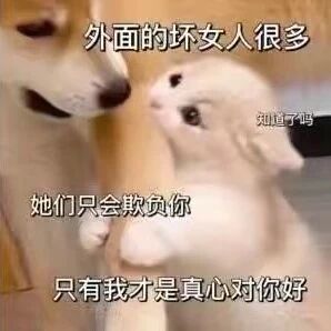 这是一张经过P图改编的文字加注类表情素材图，画面主体是一只深色狗狗凑近一只浅色狗狗，通过添加模拟PUA风格的话术文字，制造出幽默的反差效果。深色狗狗的台词为“外面的坏女人很多，她们只会欺负你，只有我才是真心对你好”，浅色狗狗的台词是“知道了吗”，用萌宠的可爱形象搭配带有调侃意味的控制式话术，让原本严肃的PUA话题变得搞笑，常被用作表情包在社交媒体上传播，用来吐槽这类不合理的话术。