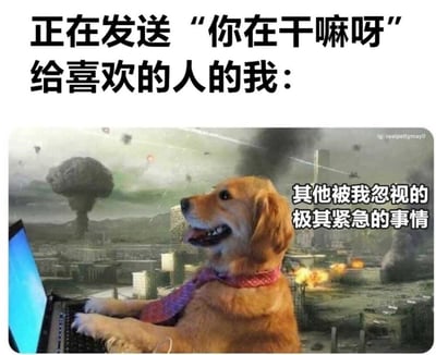 图片上方文字为“正在发送‘你在干嘛呀’给喜欢的人的我：”，下方是一只戴着红色围巾的金毛犬正专注地用前爪在笔记本电脑上打字的画面。背景是末日般的混乱场景，有蘑菇云、爆炸火光和倒塌的建筑，右侧配有文字“其他被我忽视的极其紧急的事情”。通过夸张对比，幽默展现了人们在给喜欢的人发消息时，会忽略其他重要事情的状态。