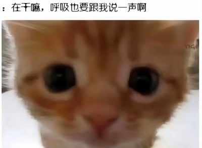 这是一张文字加注类表情包，画面主体是一只橘色小猫的近距离脸部特写，因拍摄抖动或近距离导致画面模糊，小猫圆溜溜的大眼睛直视镜头，充满紧盯的专注感。顶部配文“在干嘛，呼吸也要跟我说一声啊”，用夸张的语气调侃过度黏人、时刻查岗的状态，常用于情侣、好友之间的互动，既搞笑又带着撒娇感，精准表现出对对方的高度关注与占有欲。