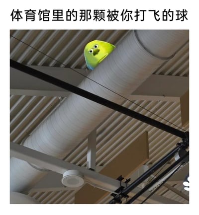 这是一张经过P图改编的搞笑表情包，创作者将网络上流行的、表情呆滞惊讶的黄绿色卡通小鸟形象，合成到体育馆天花板的通风管道上，图片上方配有文字“体育馆里的那颗被你打飞的球”。该图用拟人化的方式，调侃人们在体育馆打球时不慎将球打飞到高处、难以找回的经历，小鸟懵圈的表情完美贴合被打飞的球的“状态”，充满趣味与共鸣感，很适合用来分享打球时的趣事。