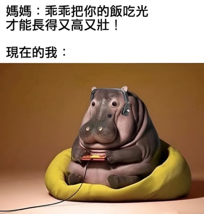 图片上半部分是妈妈的话："乖乖把你的饭吃光才能长得又高又壮！"，下半部分是一只戴着耳机、坐在黄色豆袋椅上使用电子设备的河马形象，幽默地表现了小时候妈妈期望孩子长高长壮，而现在却成为了一个安逸的"肥宅"的反差。