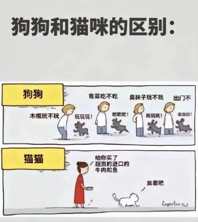 这是一幅采用上下对比布局的卡通漫画，主题为狗狗和猫咪的性格差异。上半部分展现了狗狗对主人的各类提议——玩木棍、吃青菜、玩臭袜子、出门，都表现出极度的兴奋与热情，用蹦跳的动作和重复的回应，体现出狗狗随和、乐于迎合主人、对事物充满好奇心的特质；下半部分则描绘了猫咪面对主人精心准备的超贵进口牛肉和鱼，却冷淡地回应“放着吧”并扭头走开，凸显出猫咪高冷、有自己的主见、不轻易妥协的性格。漫画通过日常化的互动场景，夸张且生动地放大了两种宠物截然不同的相处模式与性格特点，充满趣味，精准戳中宠物爱好者对猫狗差异的认知。