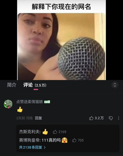 整张图由上下两部分拼接而成，上半部分是网络流行的采访梗图，顶部配黑色文字“解释下你现在的网名”，图中一名女性表情严肃，将麦克风朝向镜头，模仿采访追问的场景，营造出要求对方立刻回答问题的压迫感；下半部分是仿B站的评论区界面，热评第一的用户网名为“点赞送柔情猫娘”，该用户仅回复了一个点赞的emoji，就获得了3.2万赞，下方还有其他用户的互动留言，该回复用实际行动对应了自己的网名，巧妙回应了上半部分“解释网名”的提问，形成了极具反差感的笑点。