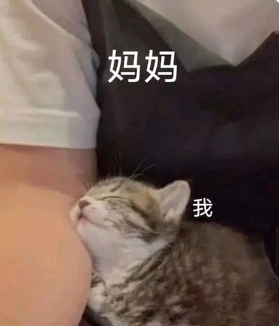 这是一张猫咪和人的合成拍摄图，画面里的小猫依偎在人的手臂或胸口旁，脸上露出温柔幸福的表情。图片上分别打上了“妈妈”和“我”的字样，“妈妈”代表人，“我”代表猫，表达小猫像小孩依赖妈妈一样的温馨氛围。这类表情包常用来表达撒娇、依赖和渴望被关爱的情感。

图片没有明显的双关或谐音梗，但拟人化地传递出心理依归和安全感的情绪暗示。