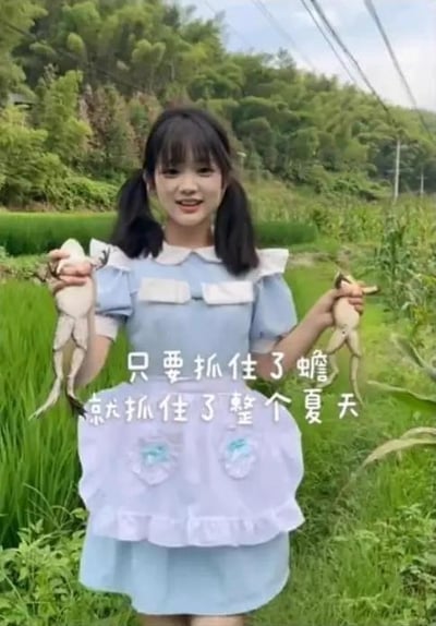 扎着双马尾的女生身穿蓝白女仆风格连衣裙，站在乡间的稻田旁，双手各抓着一只蟾蜍，脸上洋溢着开心的笑容。图中配有文字“只要抓住了蟾，就抓住了整个夏天”，这里运用了谐音梗，“蟾”谐音“蝉”，改编了“抓住蝉就抓住了夏天”的常见说法，用蟾蜍替换蝉，制造出趣味反差，充满乡村夏日的童趣与欢乐感。