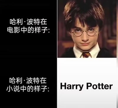 图片采用左右对比构图，左侧为黑色背景配白色文字“哈利·波特在电影中的样子:”，右侧上方是哈利·波特的电影剧照，他戴着标志性圆框眼镜，穿着霍格沃茨校服衬衫和条纹领带，表情平静略带微笑；左侧下方为黑色背景配白色文字“哈利·波特在小说中的样子:”，右侧下方是白色背景配黑色英文“Harry Potter”，通过视觉对比幽默呈现电影形象与小说文字描述的差异。