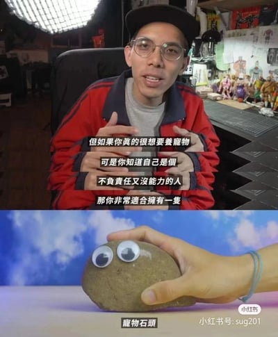 这是一张上下拼接的趣味搞笑内容图，上半部分是一位反戴黑色帽子、戴着眼镜、身穿红黑拼色运动外套的男生，在堆满手办、创作工具的工作室场景中，对着镜头进行讲解，搭配的字幕层层铺垫，引导观众的期待；下半部分则展示了一块被贴上活动眼睛的普通石头，标注为“宠物石头”，用强烈的反差感制造幽默效果，调侃那些自认没能力、没责任心照顾真实宠物的人，推荐这种完全无需照料的“宠物”，整体风格轻松搞笑，充满创意。