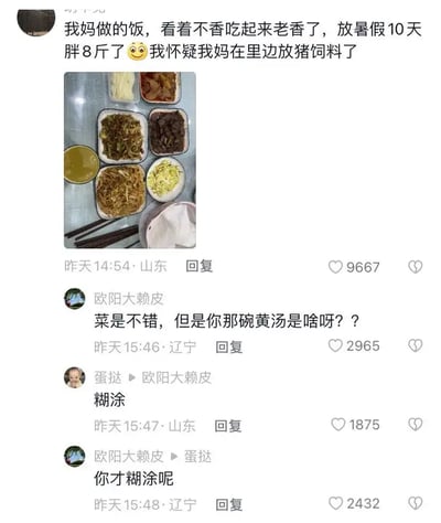这是一张在社交平台流传的段子式晒饭截图，原文作者晒出妈妈做的饭菜并用夸张语气说“怀疑放了猪饲料”，形容自己暑假期间猛吃胖了，引发评论区网友围绕图片中一碗黄色汤的有趣讨论。评论里还出现了“糊涂”谐音梗的抬杠互动，整体氛围轻松搞笑，展现了家庭温馨和网友幽默。