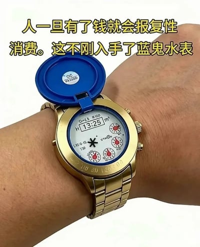 这张图展示了一只戴在真人手腕上的创意恶搞手表，手表整体做成家用自来水表的样式，搭配金色表带和表圈，表盘还原了水表的读数界面设计，还带有蓝色的翻盖式表盖，图上方配文调侃称“人一旦有了钱就会报复性消费。这不刚入手了蓝鬼水表”，玩了谐音梗，将这款搞怪手表碰瓷知名名表系列“蓝水鬼”，用夸张的说法制造搞笑效果，调侃所谓的报复性消费行为。