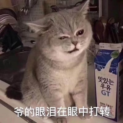 一只灰色的猫咪静坐于厨房台面上，身旁放着一盒蓝白包装的牛奶（包装上有韩文“맛있는 우유 GT”及“100% 우유”字样）。猫咪左眼微眯，右眼睁大，面部表情看似强忍情绪，配合图片底部的文字“爷的眼泪在眼中打转”，形成拟人化的幽默效果，仿佛猫咪在努力克制泪水。