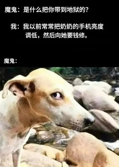图片上半部分为黑色背景白色文字的虚构对话：魔鬼询问“是什么把你带到地狱的？”，“我”坦白曾通过调低奶奶手机亮度、谎称需要修理来骗取老人钱财。下半部分是一只趴在石头堆中的狗，眼神呆滞望向侧面，配合对话结尾“魔鬼：”的留白，形成“魔鬼被这缺德操作震惊到语塞”的搞笑反差效果。