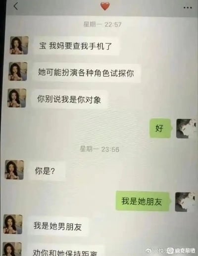 这是一张社交软件的聊天记录截图，内容为一对情侣的对话：女方先告知男友自己的母亲要查自己的手机，提示母亲可能会假扮各种身份试探对方，要求对方不要暴露自己是他的恋爱对象，男友应允。一段时间后，男友收到女方账号发来的询问“你是？”，男友按照此前约定回复“我是她朋友”，没想到对方紧接着自称是女方的男朋友，还警告男友要和女方保持距离，形成了充满戏剧感的乌龙搞笑效果。