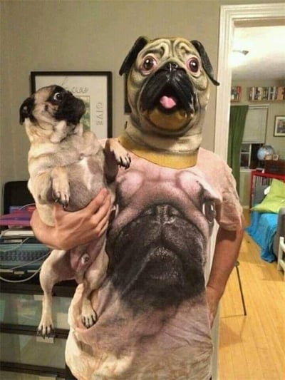 图中人物戴着巴哥犬造型的头套，身穿印有巴哥犬上半身图案的T恤，怀里抱着一只真实的巴哥犬。通过服装与真实宠物的位置配合，营造出一种人和狗“无缝衔接”、仿佛共享同一个巴哥犬身体的视觉错位效果。真实的巴哥犬睁大眼睛，露出惊讶的表情，头套里的人则做出吐舌搞怪的神态，整体画面充满趣味性和创意感，让人看后忍俊不禁。