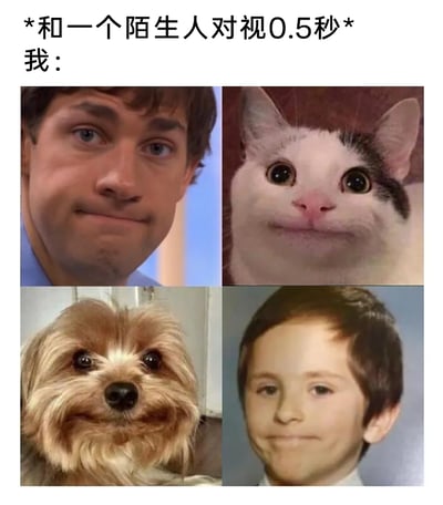 这是一张多图拼接的趣味表情包，上方配文“*和一个陌生人对视0.5秒* 我：”，下方四个格子分别展示了抿着嘴、表情尴尬又带着一丝僵硬微笑的男子、被P上人类抿嘴微笑的猫咪、被P上人类抿嘴微笑的小狗，以及抿嘴表情僵硬的小男孩。这组相似的尴尬表情，精准还原了和陌生人短暂对视后，想缓解尴尬又不知道该做什么，只能挤出僵硬表情的社恐瞬间，非常贴合社恐人群在这类社交场景下的窘迫心理，用幽默的方式调侃了日常社交中的尴尬时刻。
