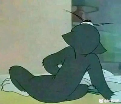 这是美国经典动画《猫和老鼠》里角色汤姆猫的截图，汤姆背对着镜头，身体放松地靠在墙边坐于地面，一只手撑在身侧，一条腿弯曲，姿态显得十分慵懒、惬意。这个画面常被网友用作表情包，来表达疲惫后放松、摸鱼摆烂的状态，没有双关、谐音梗或暗示内容。