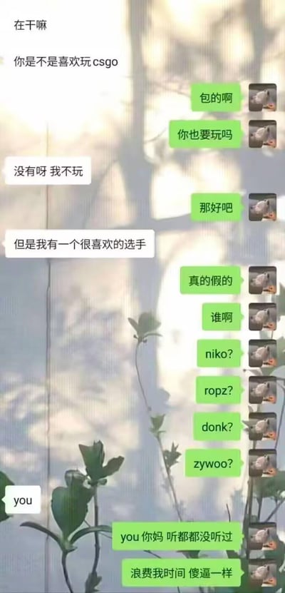这是一段微信聊天记录截图，对话围绕CSGO展开：一方先询问对方是否玩CSGO，得知对方不玩后，对方表示自己有喜欢的CSGO选手，被追问是谁时回复“you（你）”，结果被对方误以为是不知名选手，还遭到吐槽辱骂，完美错过表白，制造出搞笑又尴尬的反差效果。
这里的梗是用CSGO选手的名义来表白，却被直男完全没领会到心意，形成了经典的不解风情名场面。