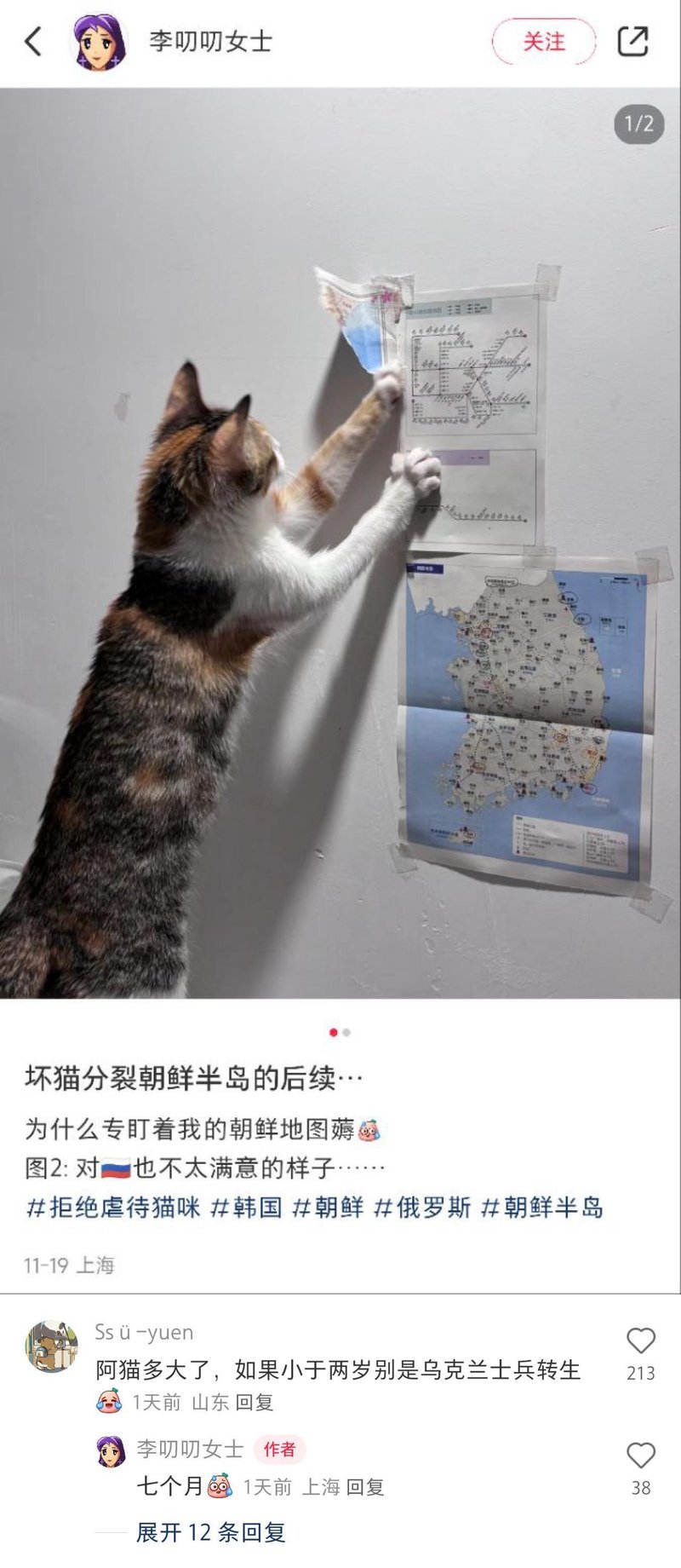 三色猫