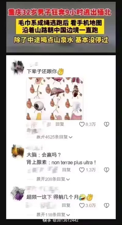 这是一张快手平台的社交媒体截图，上方是热点新闻内容：重庆32岁男子用毛巾系成绳逃出缅北后，靠手机地图指引沿山路朝中国边境狂奔9小时，中途仅喝山泉水基本没有停歇。下方是三条高赞网友评论，用玩梗的方式调侃男子这次极限逃生的经历：
1. 第一条评论配文“下辈子还跟你”并附上一张拟人化人体器官的图片，调侃男子跑9小时身体器官都快“散架”却依然跟着他，获8.3万赞；
2. 第二条评论以“大脑：会赢吗？肾上腺素：non terrae plus ultra！”的对话形式，用拉丁语“没有不可逾越的界限”调侃肾上腺素爆发支撑男子完成极限奔跑，获1.3万赞；
3. 第三条评论用“超频一下 得躺几个月”的电脑术语梗，形容男子身体像电脑超频一样极限运作后，需要长时间休养，获3.0万赞。整体内容以轻松玩梗的方式解读惊险的逃生事件，没有双关、谐音梗或暗示内容。