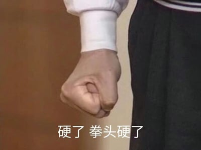 图片特写展示一只紧握的拳头，手部皮肤细腻，穿着白色长袖衣物，袖口整齐，下半身搭配深色衣物。拳头下方配有文字“硬了 拳头硬了”，整体画面聚焦手部动作，通过紧握的拳头和直白的文字，生动传达出愤怒、激动或下定决心的强烈情绪，常被用于网络交流中表达不满或坚定立场。