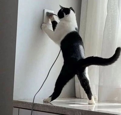 这是一张静态实拍图，画面主体是一只黑白配色的奶牛猫，它站在光滑的台面上，身体直立，两只前爪扒在白色的墙面上，其中一只爪子正对着墙上的插座孔，仿佛在认真尝试将手中的插头插入插座中，尾巴自然翘起，姿态极具拟人化，和人类插插头的动作高度相似，这种猫咪做出人类行为的反差感，让画面充满了滑稽和可爱的氛围，展现了宠物日常中意外的搞笑瞬间。