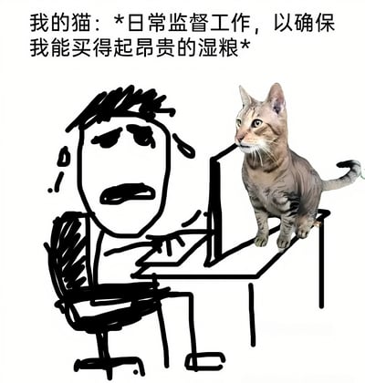 图片左侧是一个简笔画风格的苦恼人物，眉头紧锁、嘴角下撇，正坐在电脑前工作；右侧桌面上站着一只真实的虎斑猫，眼神专注地看向人物。上方文字配文：'我的猫：*日常监督工作，以确保我能买得起昂贵的湿粮*'，通过拟人化手法幽默展现猫咪仿佛在监督主人工作，实则是为了保障自己的优质食物供给。