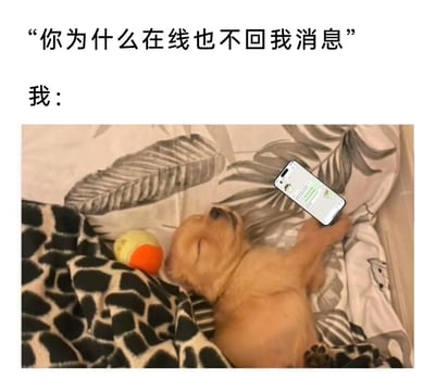 这是一张充满共鸣感的趣味表情包，图片上方配有他人的质问文字“你为什么在线也不回我消息”，下方标注“我：”，紧接着是一张真实的小狗熟睡照片：浅棕色的小狗仰躺在床上，身上盖着带有长颈鹿纹路的毯子，头边放着一个橙黄相间的玩具球，双眼紧闭，神态放松，一只前爪还搭在显示着消息界面的手机上，仿佛是在线却因为“熟睡”而没能回消息。这张图用生动的画面，精准地表达了很多人明明在线却不想回复消息、用“摆烂”的状态应对消息的心态，充满搞笑与吐槽感，很容易引发网友的共鸣。