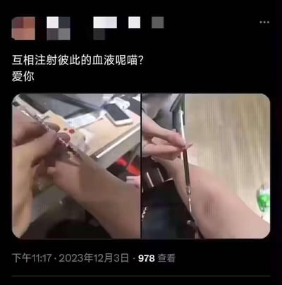这是一张社交媒体动态截图，上方配文以亲昵的语气写道“互相注射彼此的血液呢喵？爱你”，下方是左右分栏的实拍画面：左侧画面展示手拿着装有血液的针管，准备进行注射；右侧画面则是针管扎在人的腿部，正在进行注射操作。画面底部标注了发布时间为2023年12月3日晚上11:17，已有978次查看。这种互相注射血液的行为存在极高的健康风险，可能传播各类血液传染性疾病，属于非常不健康且危险的行为，图中没有双关、谐音梗等内容。