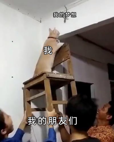这是一张添加了文字标注的实拍图，画面中三位人士合力托举着一把旧木椅，椅子上站着一只浅橘色的猫咪，猫咪正抬头专注地盯着天花板上的小物件。图中用文字分别对应标注：天花板上的物件为“我的梦想”，猫咪代表“我”，托举椅子的人代表“我的朋友们”，以此生动形象地比喻在朋友的帮助与支持下，自己能够更接近目标与梦想的状态，用生活化的温馨场景引发观者共鸣，传递出友情助力追梦的温暖感。