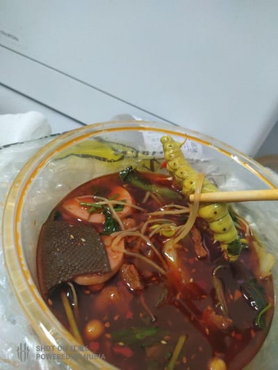 这是一张用户实拍的外卖麻辣烫照片，餐盒套着塑料袋，里面是红亮汤汁的麻辣烫，包含毛肚、火腿肠、豆芽、青菜等食材，一双木质筷子夹着一条体型较大的绿色青虫，青虫身上还挂着一根豆芽，画面直观展现了外卖餐品中出现的卫生问题，让人感到不适，无任何双关、谐音梗或暗示内容。