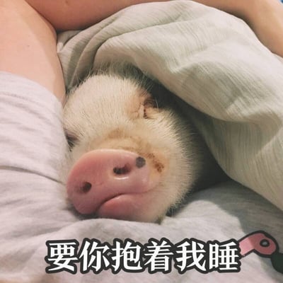 图片中一只白色小香猪正被人抱在怀里睡觉，它双眼紧闭，粉色的鼻子微微翘起，嘴角带着一丝满足的弧度，显得格外安详。小猪被一条浅绿色的毯子包裹着，周围露出抱着它的人的手臂和穿着浅灰色衣物的身体部分。图片底部有一行黑色字体、白色描边的文字：“要你抱着我睡”，整体营造出一种温馨、治愈的可爱氛围。