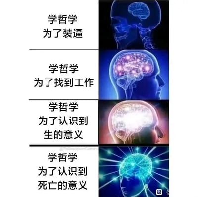 这是一张由四个竖排板块构成的连环图文图，以“学习哲学的动机”为核心主题，通过右侧大脑示意图的亮度递进变化，对应左侧文字呈现的四重认知境界：第一重是最浅层次的“为了装逼”，此时大脑只有深色轮廓，几乎无光亮；第二重是“为了找到工作”，大脑有部分区域亮起；第三重是“为了认识到生的意义”，大脑整体明亮；第四重是“为了认识到死亡的意义”，大脑向外散发耀眼的光线，亮度达到顶峰。整张图用视觉化的递进效果，调侃了人们学习哲学从功利性的浅层需求到探索生命本质的深层追求的转变，生动展现了学习哲学的不同动机和认知境界的升级。