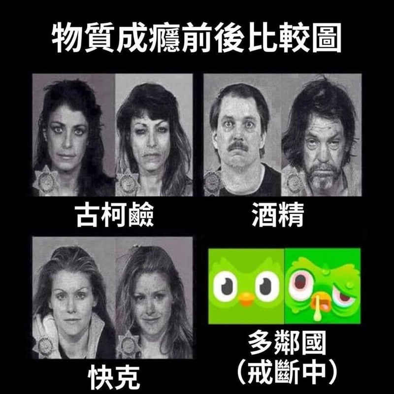 多邻国猫头鹰