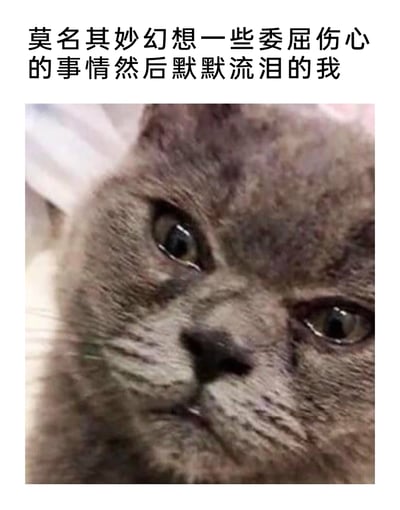 这是一张能引发情绪共鸣的表情包，上方配有文字“莫名其妙幻想一些委屈伤心的事情然后默默流泪的我”，下方是一只英国短毛蓝猫的面部特写，猫咪眼中噙着泪水，眉头微皱，神情委屈低落，精准契合了文字描述的那种毫无缘由陷入伤感、默默难过的“emo”时刻，生动表达出人们偶尔会出现的无由低落情绪。