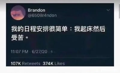 这是一张X平台（原Twitter）的社交媒体截图，用户Brandon（账号@650Br4ndon）于2020年6月27日23:07发布了一条自嘲式推文，内容为“我的日程安排很简单：我起床然后受苦。”，这条推文以幽默又扎心的方式表达了当代人在生活或工作中感受到的疲惫与无奈，引发了大量用户的共鸣，因此获得了10.7万次转发和37.4万次点赞。截图中还显示了用户的头像、账号名及发布时间等信息。